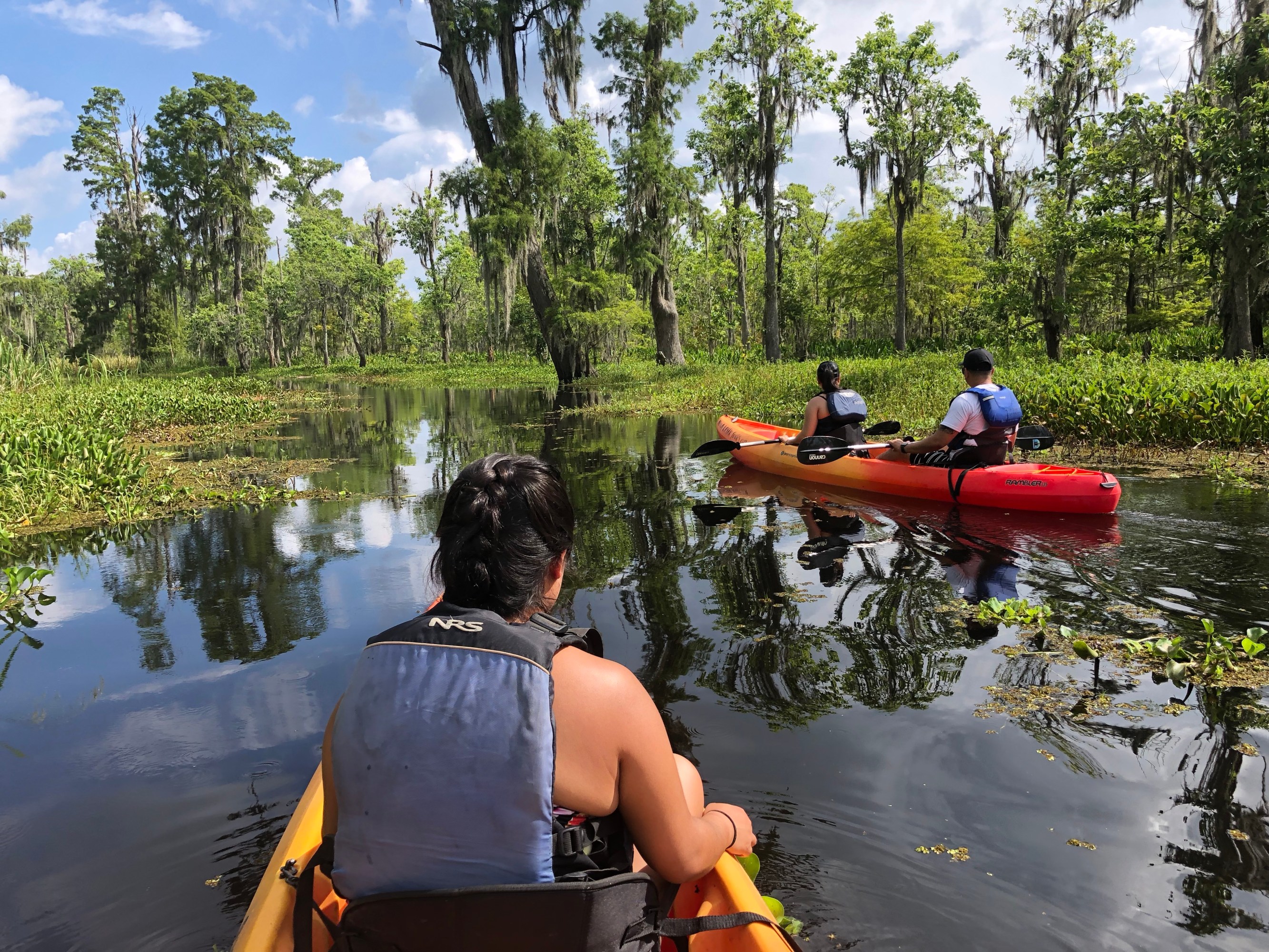 Kayakers in life vests gliding through a lush green swamp channel near New Orleans