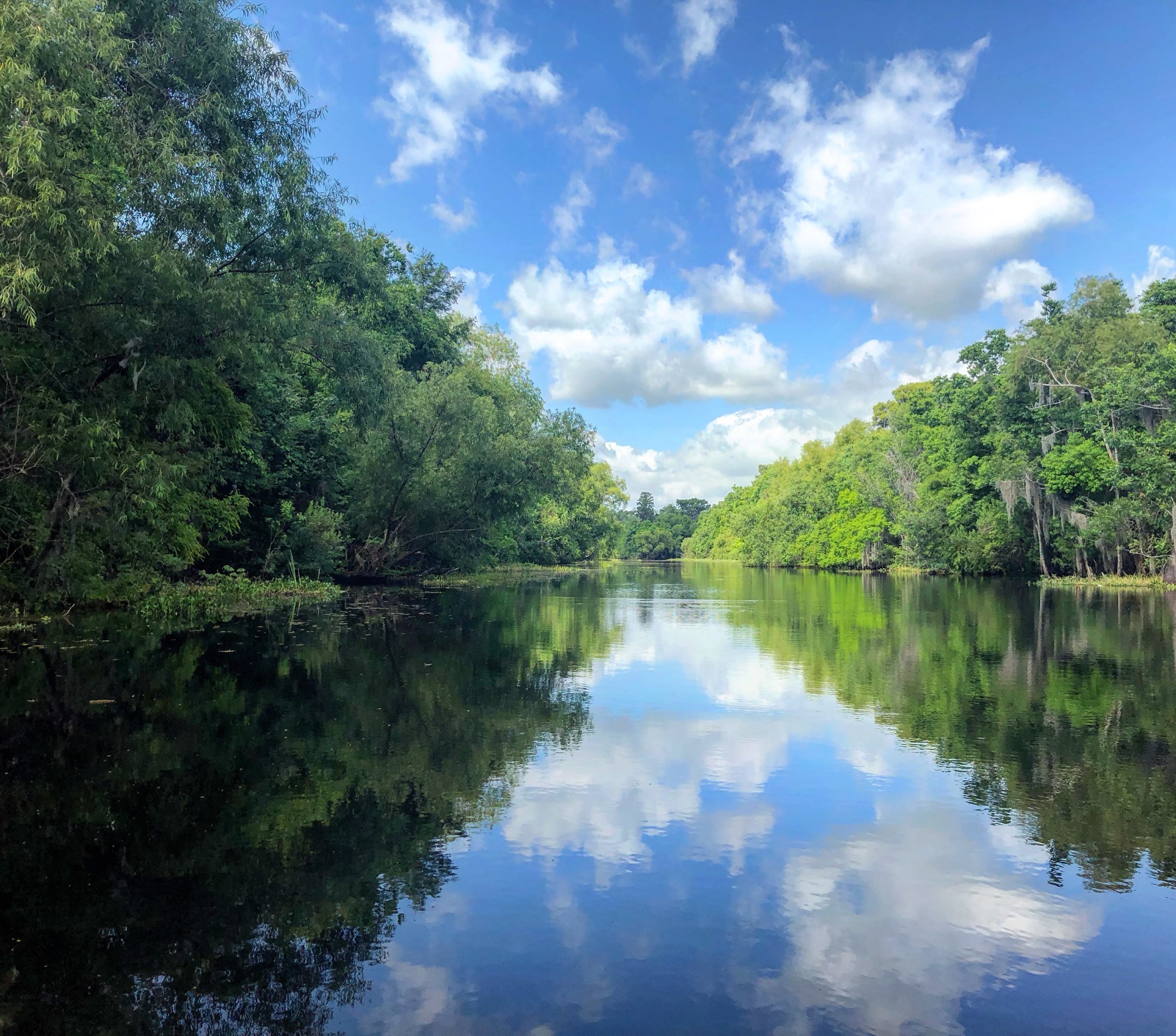 Calm bayou mirroring clouds and a blue sky between lush tree-lined banks