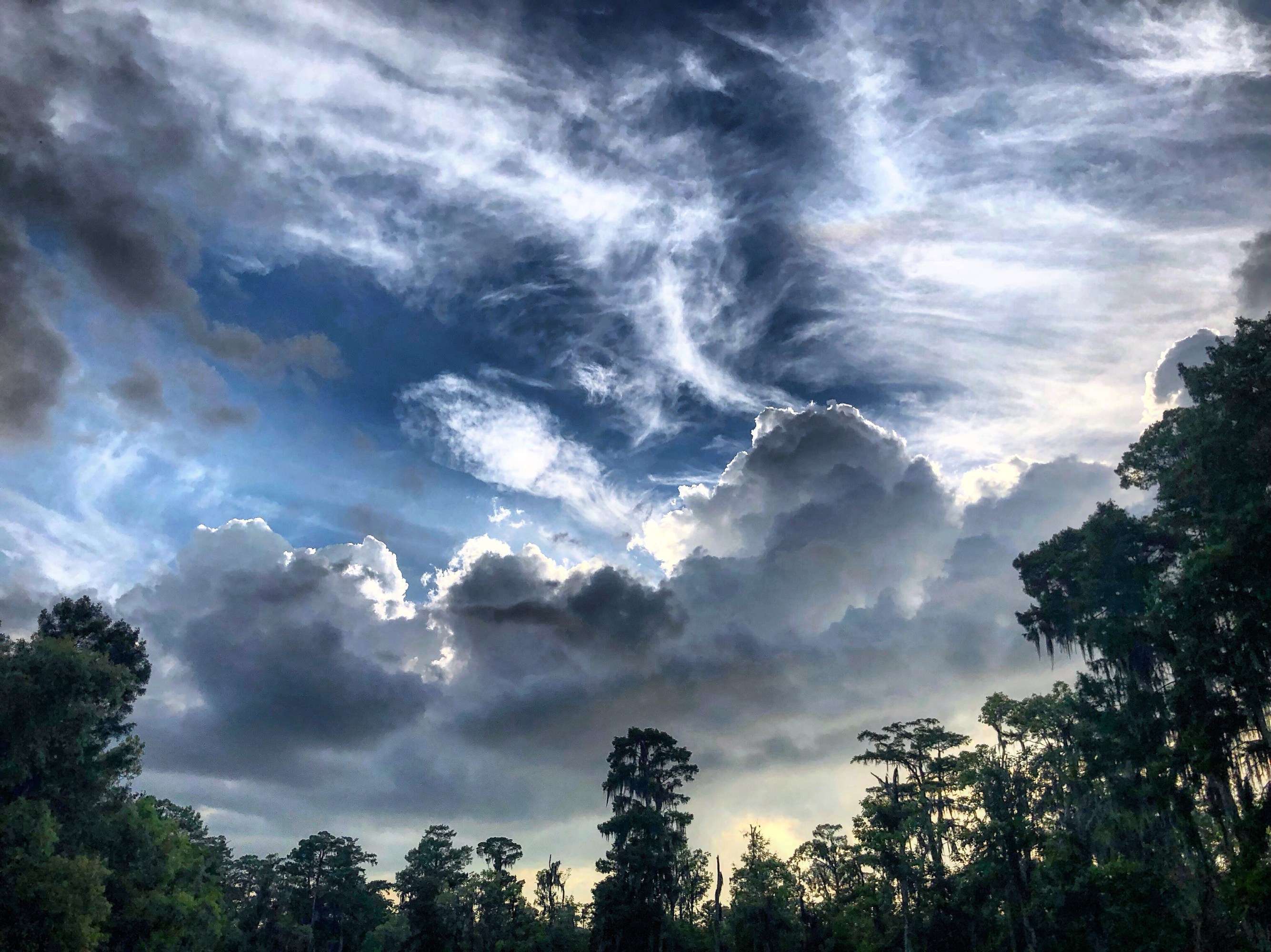 Dramatic swirling clouds over a cypress treeline draped in Spanish moss