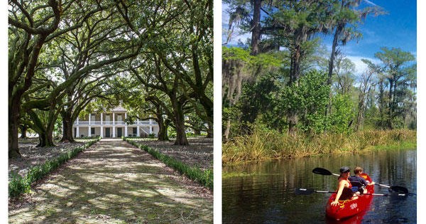 Combo tour split image: oak-lined plantation house and kayakers on a Louisiana swamp