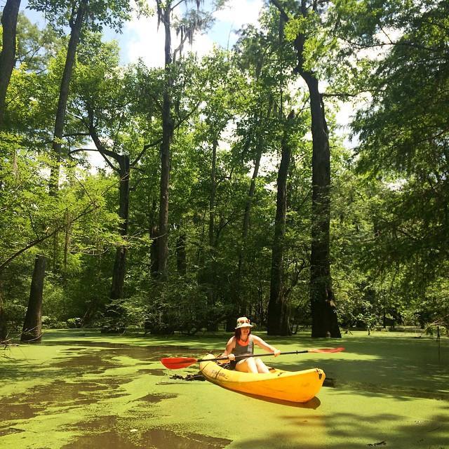 Woman kayaking through duckweed beneath towering swamp trees near New Orleans