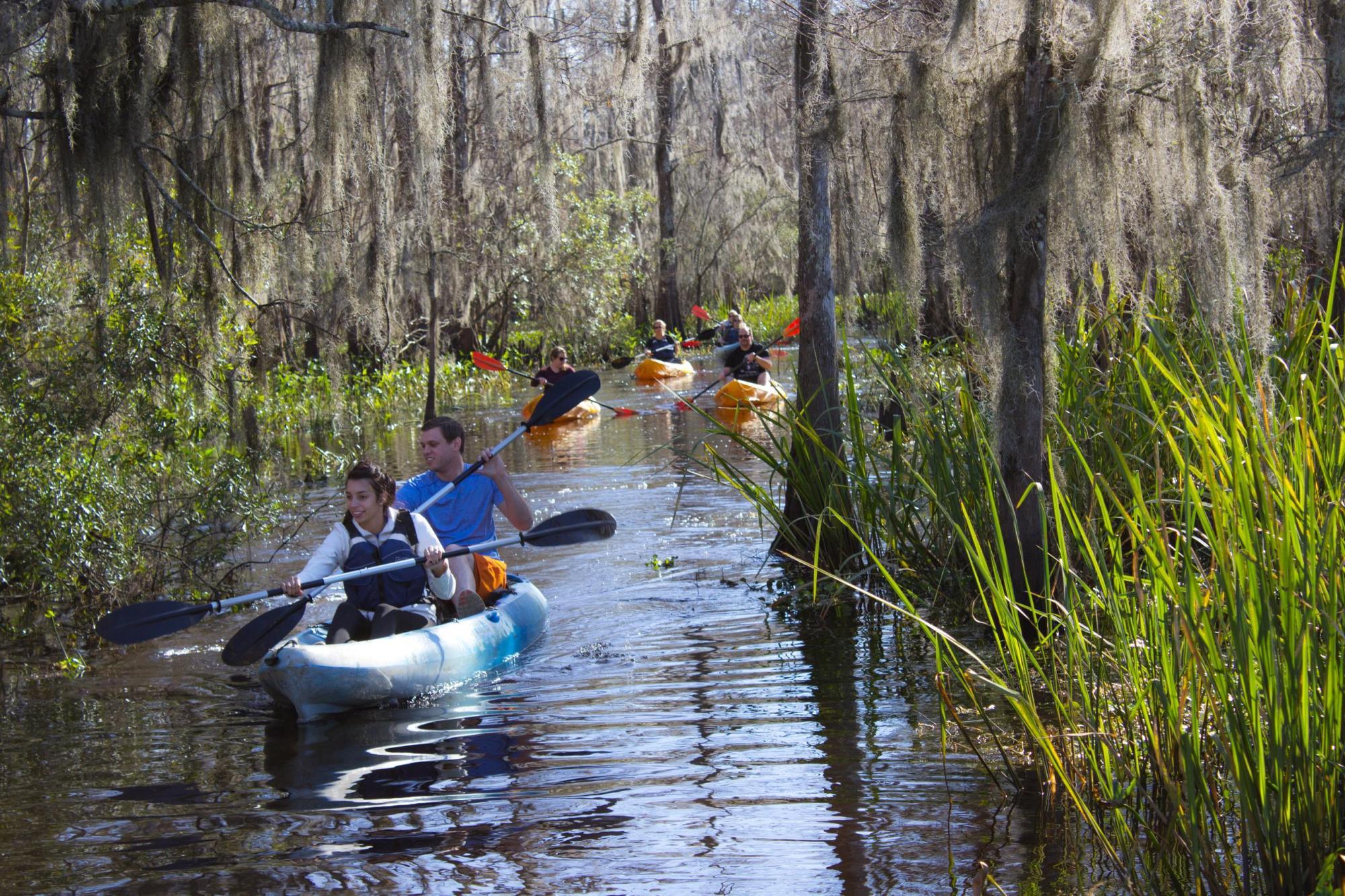 Group of kayakers paddling a mossy cypress channel on a guided Manchac swamp tour