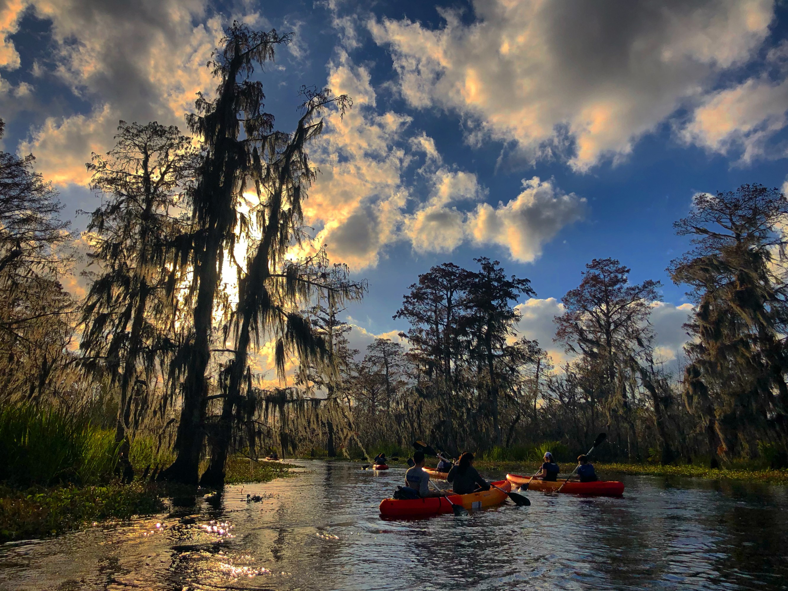 Kayakers paddling beneath moss-draped cypress trees and a dramatic cloudy sky on a swamp tour