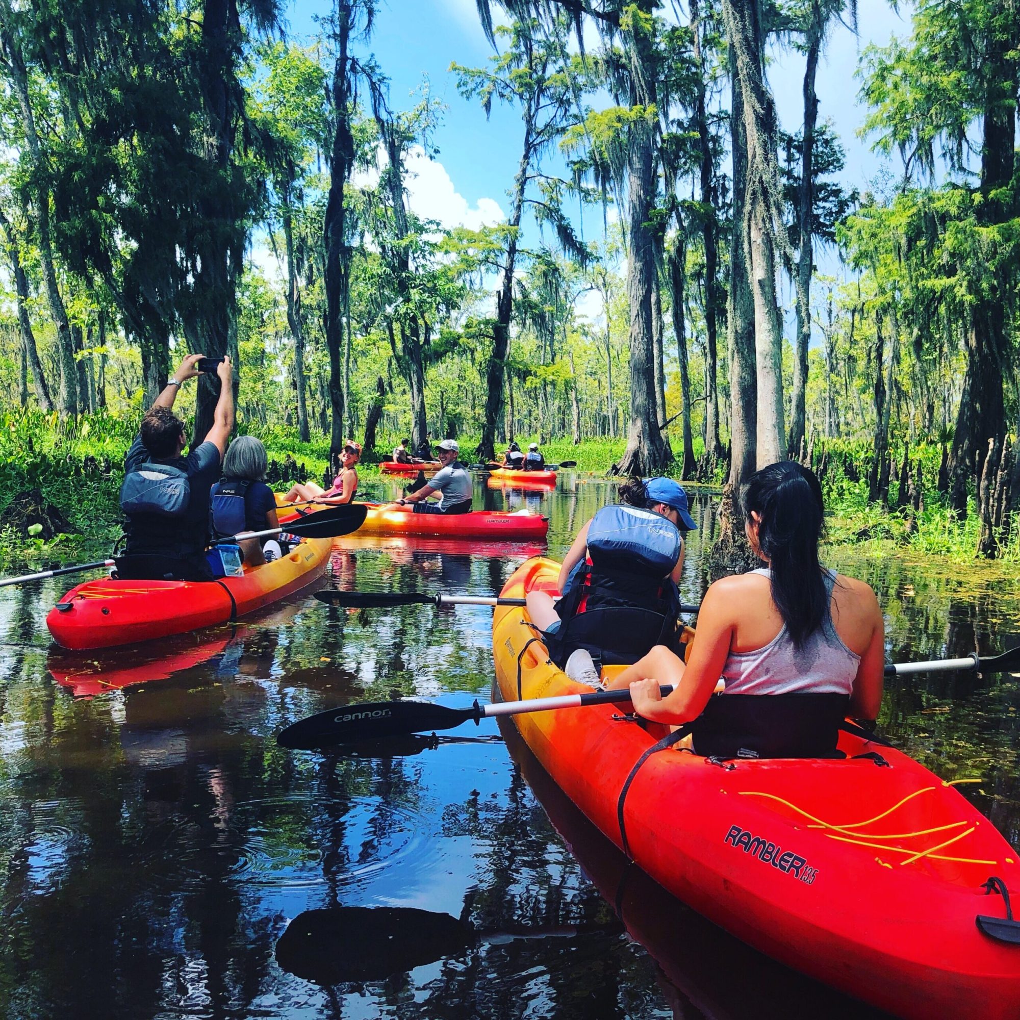 Group of kayakers paddling past cypress trees draped in Spanish moss on a New Orleans swamp tour