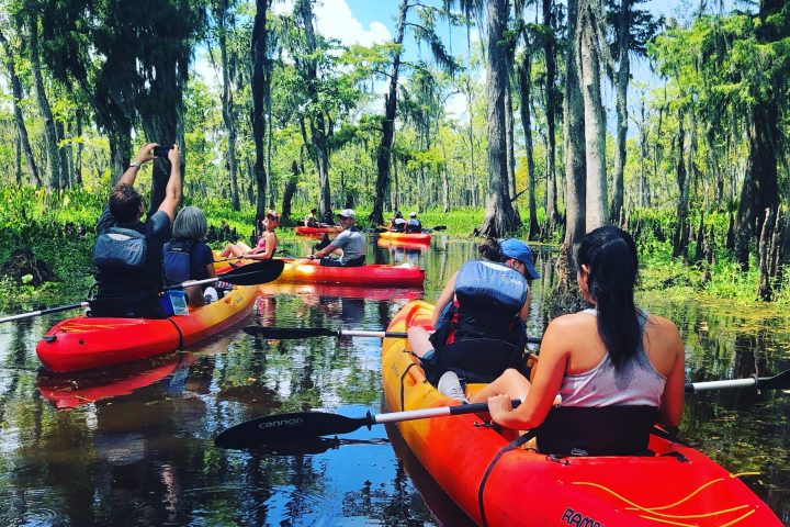 a group of people on a boat in the forest