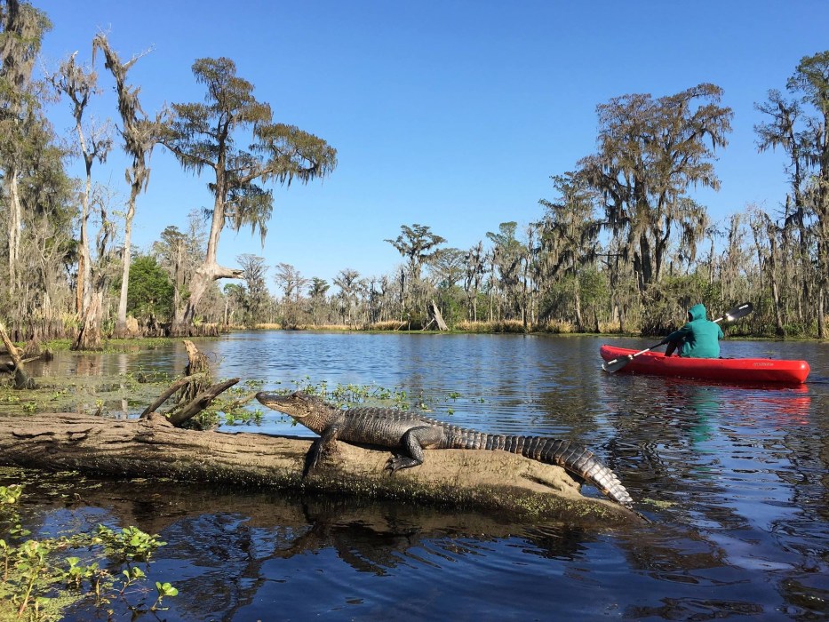 New Orleans Zipline Tour & Kayak Tour Combo Crescent City Kayak